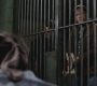SPN_0734.jpg