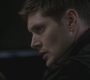 SPN_0971.jpg