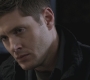 SPN_1154.jpg