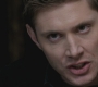 SPN_1203.jpg