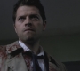 SPN_1378.jpg