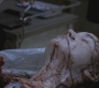 SPN_0122.jpg