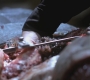 SPN_0126.jpg