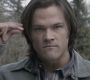 SPN_0190.jpg