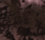 SPN_0194.jpg