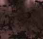 SPN_0195.jpg