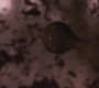 SPN_0197.jpg