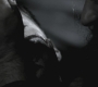 SPN_0225.jpg