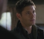 SPN_0711.jpg