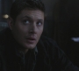 SPN_0935.jpg