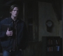 SPN_0939.jpg
