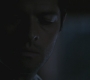 SPN_1146.jpg