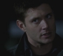SPN_0302.jpg