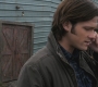SPN_0407.jpg