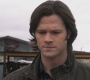 SPN_0455.jpg