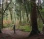 SPN_0504.jpg
