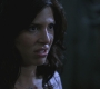 SPN_1038.jpg