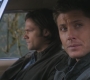 Filename=SPN_1285.jpg
Filesize=73KiB
Dimensions=1280x720
Date added=Sep 30, 2021 SPN_1285.jpg