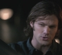 SPN_0402.jpg