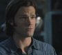 SPN_0603.jpg