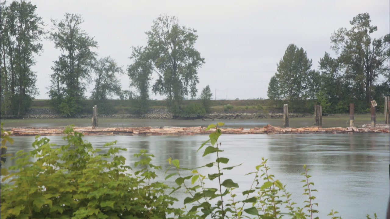 SPN_0207.jpg