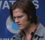 SPN_0182.jpg