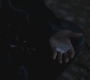 SPN_0513.jpg