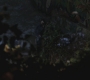 SPN_0517.jpg