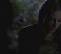 SPN_0519.jpg