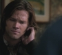 SPN_0329.jpg