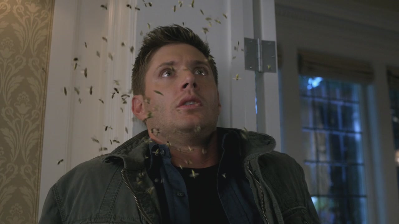 SPN_1205.jpg