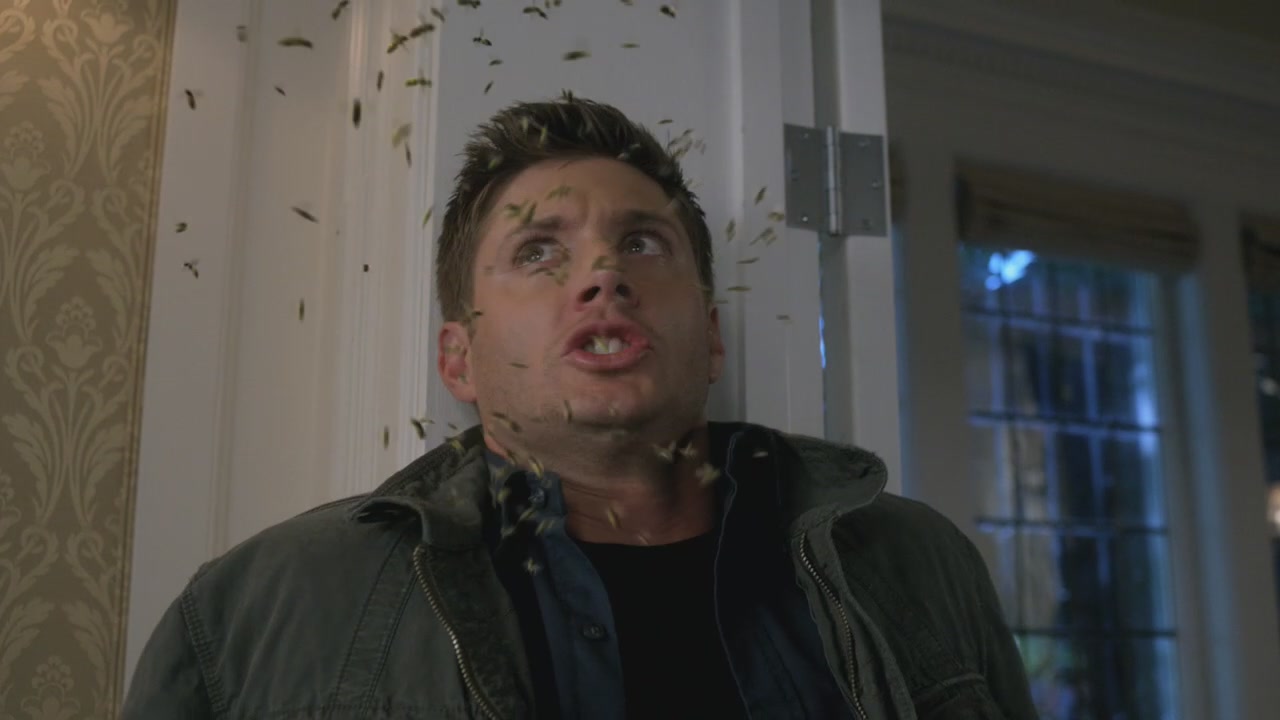 SPN_1206.jpg