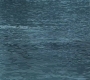 SPN_0075.jpg