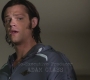 SPN_0137.jpg