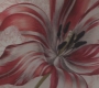 SPN_0216.jpg