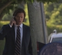 SPN_0246.jpg