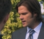 SPN_0413.jpg