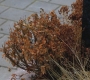 SPN_0414.jpg