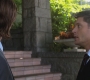 SPN_0602.jpg