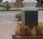 SPN_0883.jpg