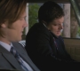 SPN_0921.jpg