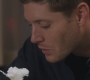 SPN_0942.jpg