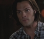 SPN_1302.jpg