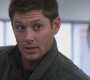 SPN_0028.jpg