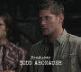 SPN_0147.jpg