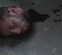 SPN_0464.jpg