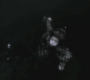 SPN_0642.jpg