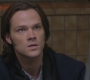 SPN_1133.jpg