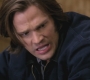 SPN_1151.jpg