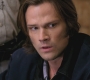 SPN_1160.jpg